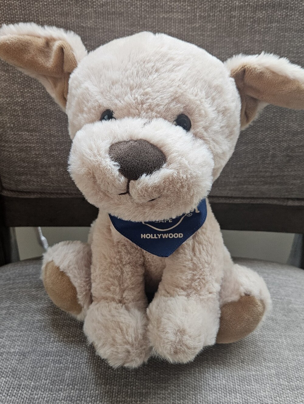 Hard Rock Cafe Hollywood 9" Plush Dog - Soft Tan Puppy with Blue Bandana